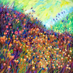 Mountain Meadow 2